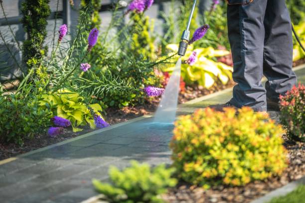 Best Parking Lot and Garage Cleaning  in Midlothian, IL