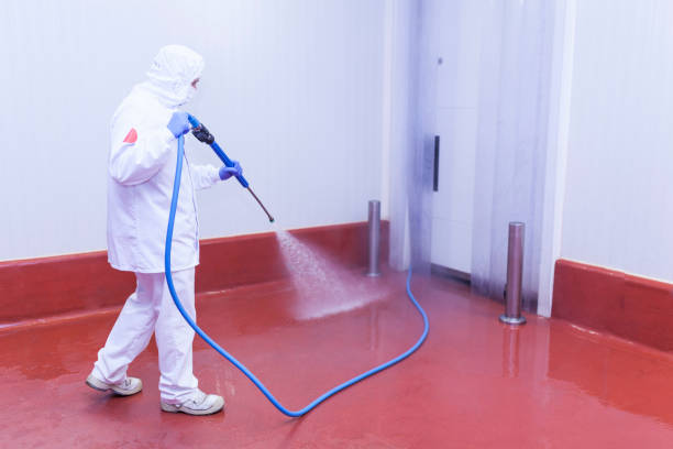 Best Rust Removal  in Midlothian, IL